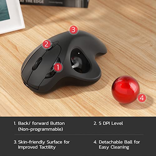 Nulea M501 Wireless Ergonomic Trackball Mouse