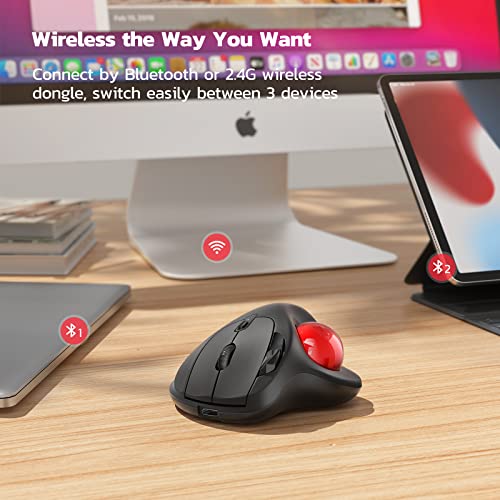 Nulea M501 Wireless Trackball Mouse, Rechargeable Ergonomic, Easy Thumb Control, Precise & Smooth Tracking, 3 Device Connection (Bluetooth or USB Receiver), Compatible for PC, Laptop, Mac