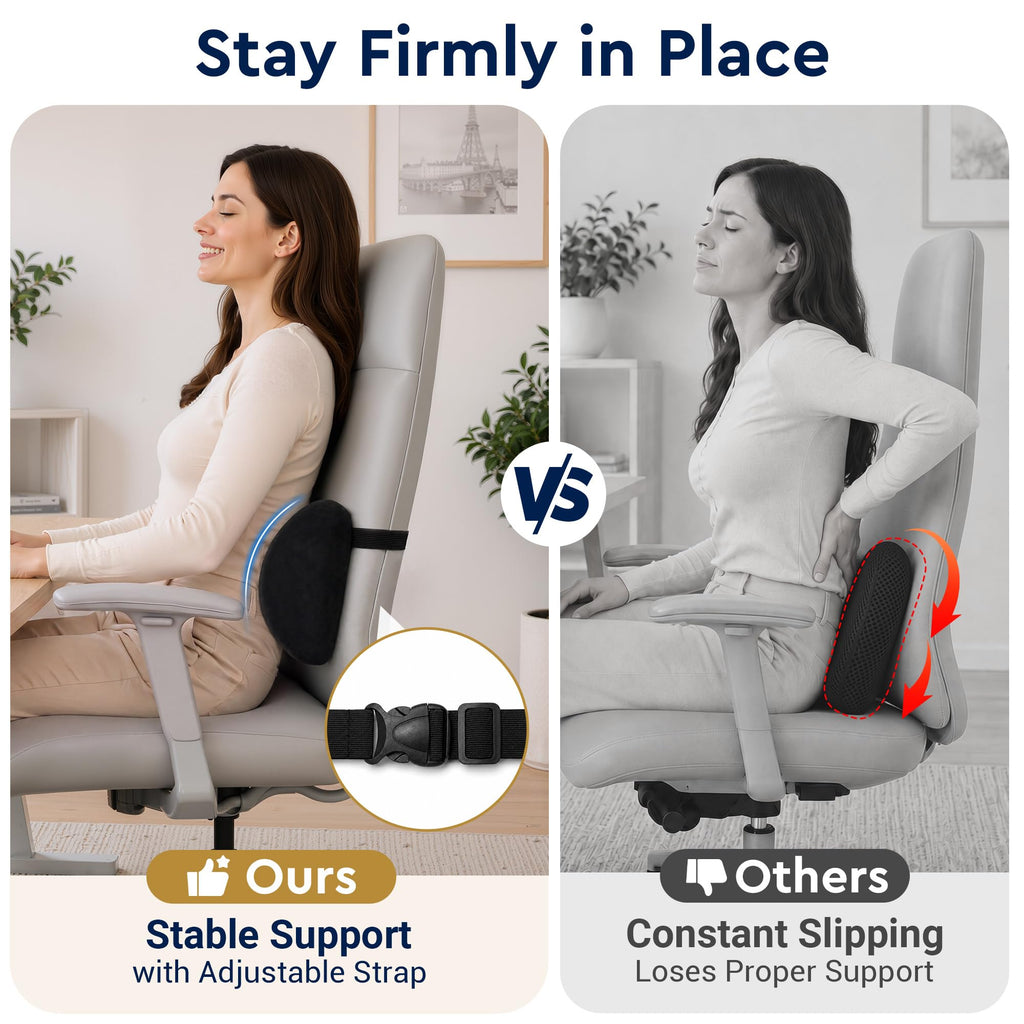 SavvyAbode Lumbar Pillow